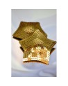 Paire de cache tétons adhésifs étoile pailletée sequin doré 